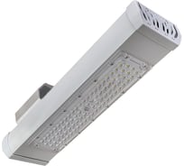 Светодиодный светильник Экоэл СТРИТ 50.5К.Ш.IP67-360.0.ЭК.0