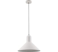 Подвесной светильник Camelion PL-602L C01 белый Rome, 1х E27, 40Вт, 230 14556