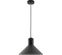 Подвесной светильник Camelion PL-602L C02 черный Rome, 1х E27, 40Вт, 230 14557