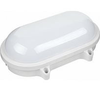 Светодиодный светильник General Lighting Systems GBCF-S1-15BT-IP65-O-6 437714
