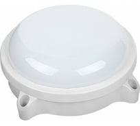 Светодиодный светильник General Lighting Systems GBCF-S1-15BT-IP65-R-6 437705