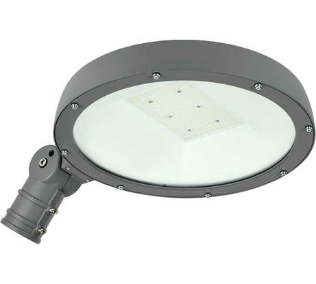 Светильник IEK LED ДКУ Парк 2001-100Д 5000К, IP65 LDKU0-2001-100-5000-K02
