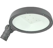 Светильник IEK LED ДКУ Парк 2001-70Д 3000К, IP65 LDKU0-2001-070-3000-K02