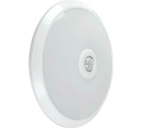 Светильник IEK LED ДПБ 9003 12Вт, IP20 6500K, с датчиком движения и ИБП 1ч LDPB0-9003-12-6500-K01