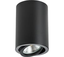 Накладной светильник Lightstar 214407