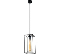 Подвесной потолочный светильник Rivoli Luna 5148201 1xЕ27, 40 Вт, черный, лофт, кантри Б0054978