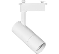 Трековый светильник Lightstar 229246