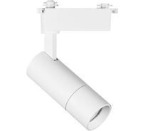 Трековый светильник Lightstar 229146