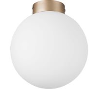 Потолочный светильник Lightstar 812023