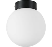 Потолочный светильник Lightstar 812017