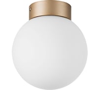 Потолочный светильник Lightstar 812013