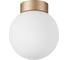 Потолочный светильник Lightstar 812013 1