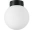 Потолочный светильник Lightstar 812027 1