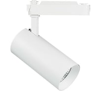 Трековый светильник Lightstar 218246