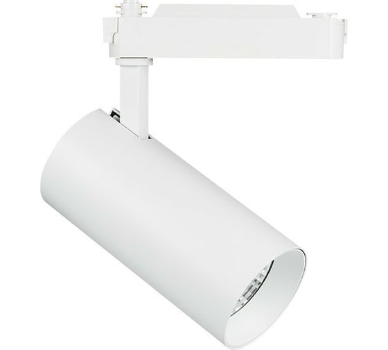 Трековый светильник Lightstar 218246 1