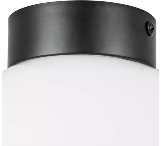 Потолочный светильник Lightstar 812117