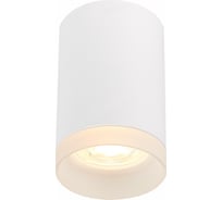 Потолочный светильник ST luce ST100.502.01