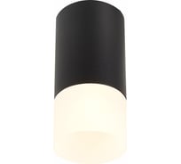 Потолочный светильник ST luce ST100.412.01