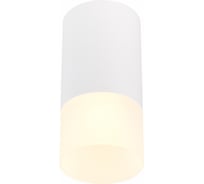 Потолочный светильник ST luce ST100.512.01