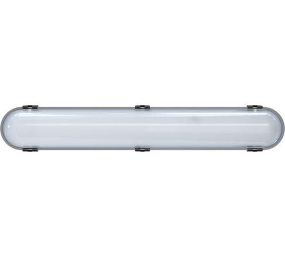 Светильник INNOLUX 14 701 ДСП-01-ПП-20-600-4К-IP65 14701