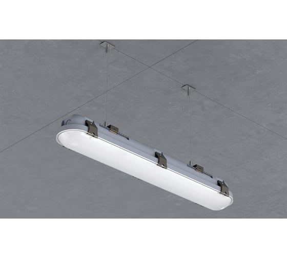 Светильник INNOLUX 14 701 ДСП-01-ПП-20-600-4К-IP65 14701