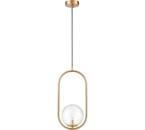 Подвесной светильник Vele Luce Bianco 1 40 VL5714P21