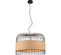 Подвесной светильник Vele Luce San 3хE27 60W VL6172P03