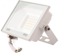 Светодиодный прожектор REXANT LED 30 Вт 2400 Лм 2700 K белый корпус 605-028