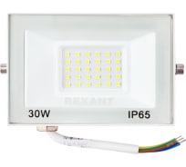 Светодиодный прожектор REXANT LED 30 Вт 2400 Лм 5000 K белый корпус 605-025