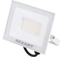 Светодиодный прожектор REXANT LED 50 Вт 4000 Лм 2700 K белый корпус 605-035
