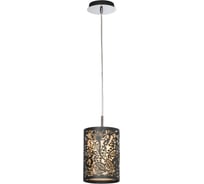 Светильник LUSSOLE LSF-2376-01