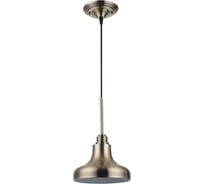 Светильник LUSSOLE LSL-3006-01
