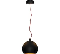 Светильник LUSSOLE LSN-6116-01