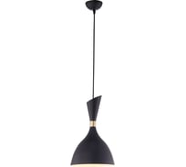 Светильник LUSSOLE LSP-8150