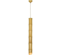 Светильник LUSSOLE LSP-8564