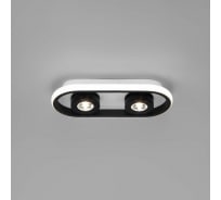 Потолочный светильник Eurosvet 20123 2 LED белый черный a055521