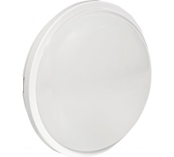 Светодиодный светильник EKF ЖКХ круг ДПО-2010 15Вт 6500K IP65 PROxima BKL-2010-R-15-6500