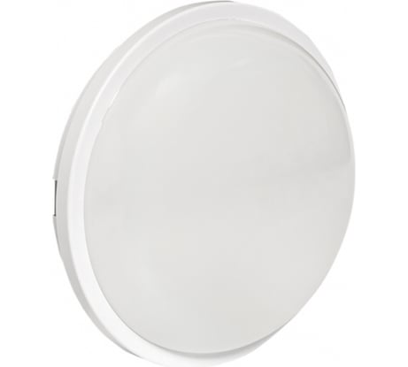 Светодиодный светильник EKF ЖКХ круг ДПО-2009 12Вт 6500K IP65 PROxima BKL-2009-R-12-6500