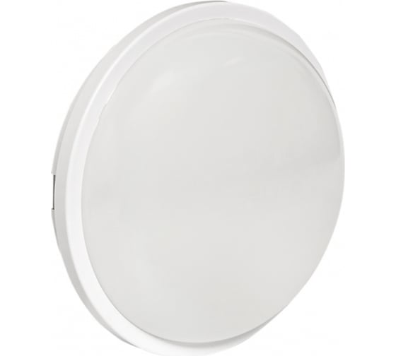 Светодиодный светильник EKF ЖКХ круг ДПО-2009 12Вт 6500K IP65 PROxima BKL-2009-R-12-6500 1