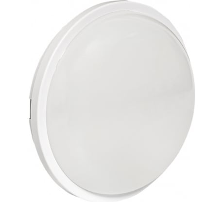 Светодиодный светильник EKF ЖКХ круг ДПО-2008 8Вт 6500K IP65 PROxima BKL-2008-R-8-6500