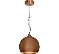 Светильник LUSSOLE LSN-6106-01