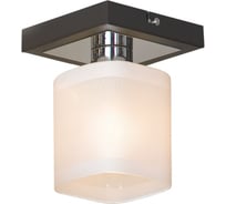 Светильник LUSSOLE LSL-9007-01