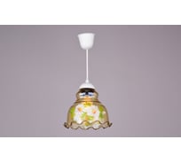Подвесной светильник РОССВЕТ 1х60ВтхE27 РС-104 Цветы