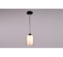 Подвесной светильник РОССВЕТ 1х60ВтхE27 РС20090 BK/1P