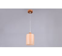 Подвесной светильник РОССВЕТ 1х60ВтхE27 РС20149 WD/1P