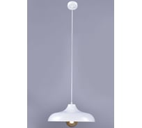 Подвесной светильник РОССВЕТ 1х60ВтхE27 РС21734/1P