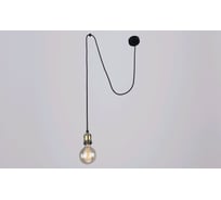 Потолочно-подвесной светильник РОССВЕТ 1х60ВтхE27 РС20820 BK+AB/1P