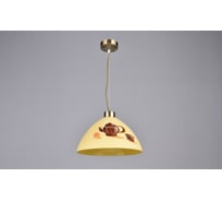 Потолочно-подвесной светильник РОССВЕТ 1х60ВтхE27 РС20330 AB/1P