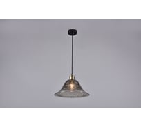 Потолочно-подвесной светильник РОССВЕТ 1х60ВтхE27 РС20770 BK/1P