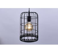 Потолочно-подвесной светильник РОССВЕТ 1х60ВтхE27 РС21179 BK/1P